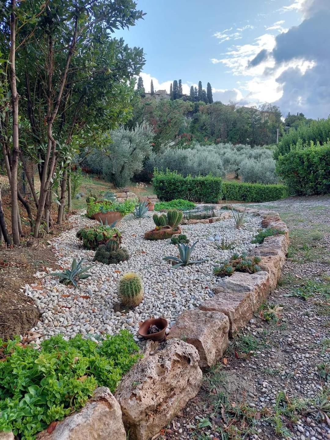 La Selvarella Montecchio  Luaran gambar